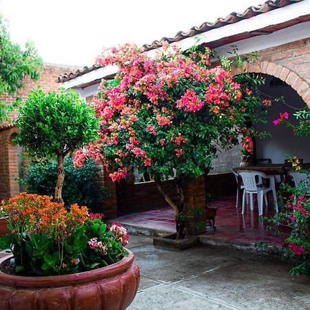 Villa Flores, Casa En El Centro De Mascota Buitenkant foto