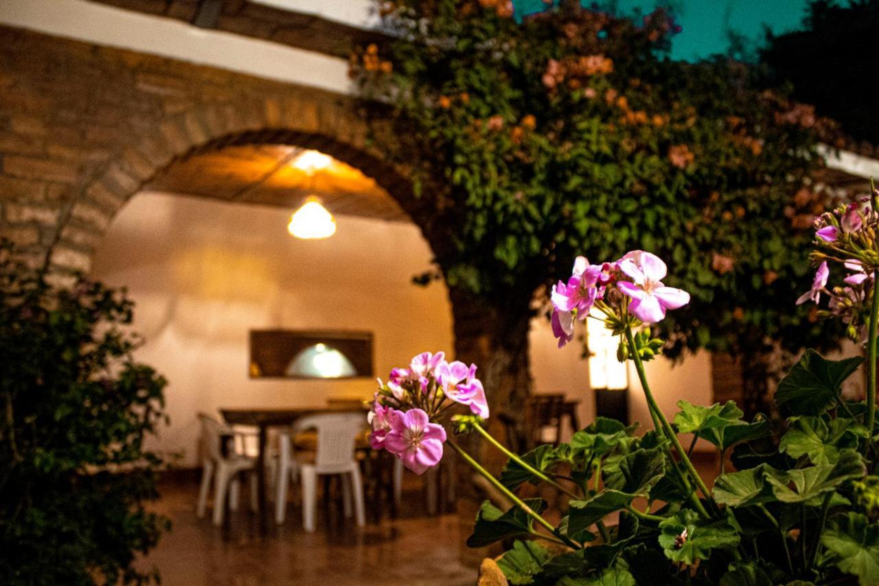 Villa Flores, Casa En El Centro De Mascota Buitenkant foto