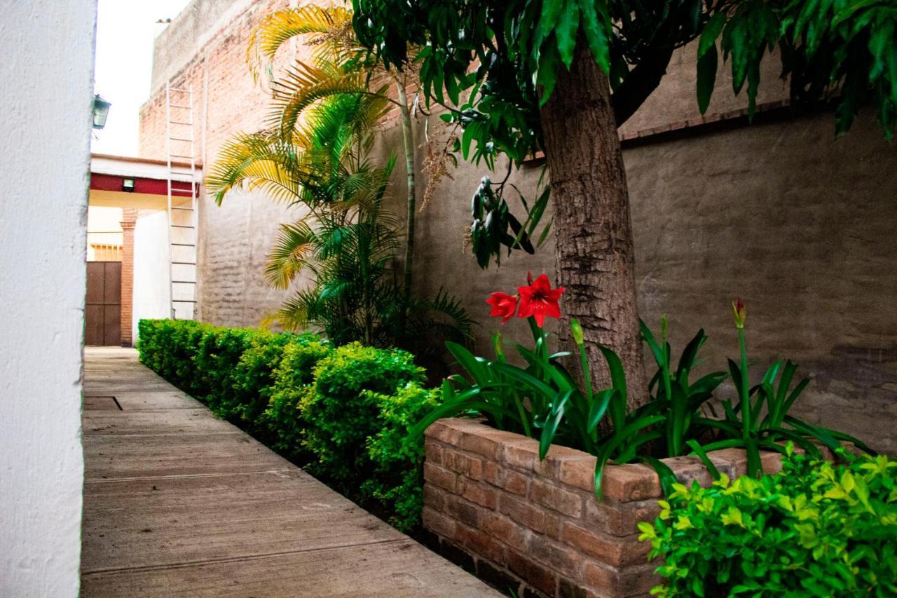 Villa Flores, Casa En El Centro De Mascota Buitenkant foto