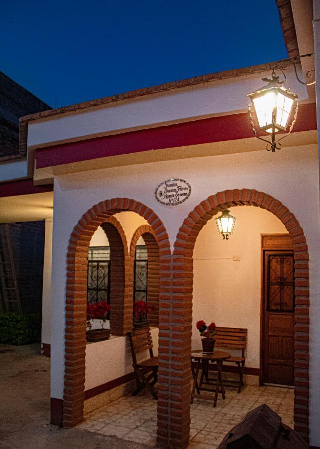 Villa Flores, Casa En El Centro De Mascota Buitenkant foto
