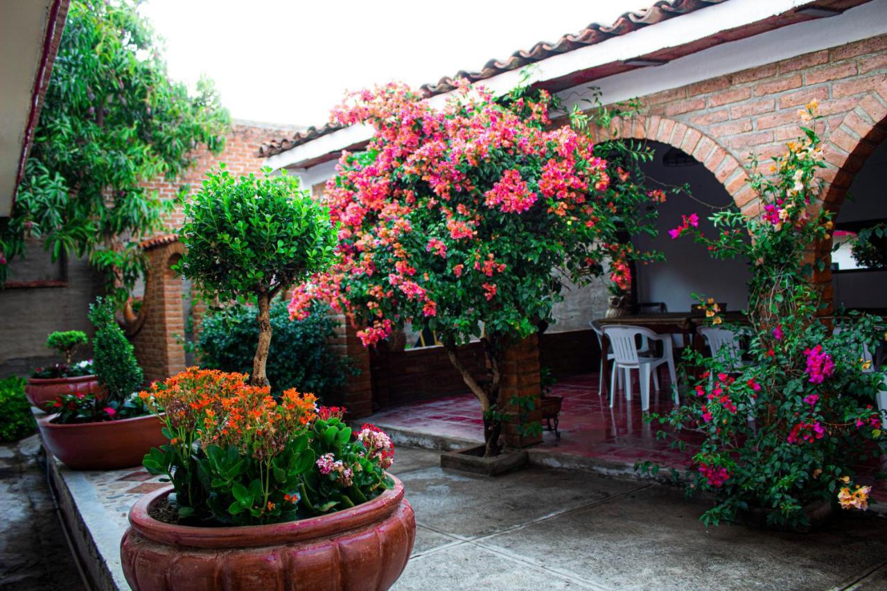 Villa Flores, Casa En El Centro De Mascota Buitenkant foto