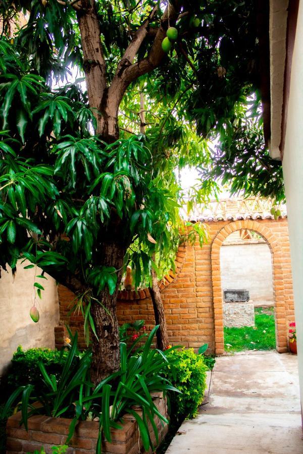 Villa Flores, Casa En El Centro De Mascota Buitenkant foto